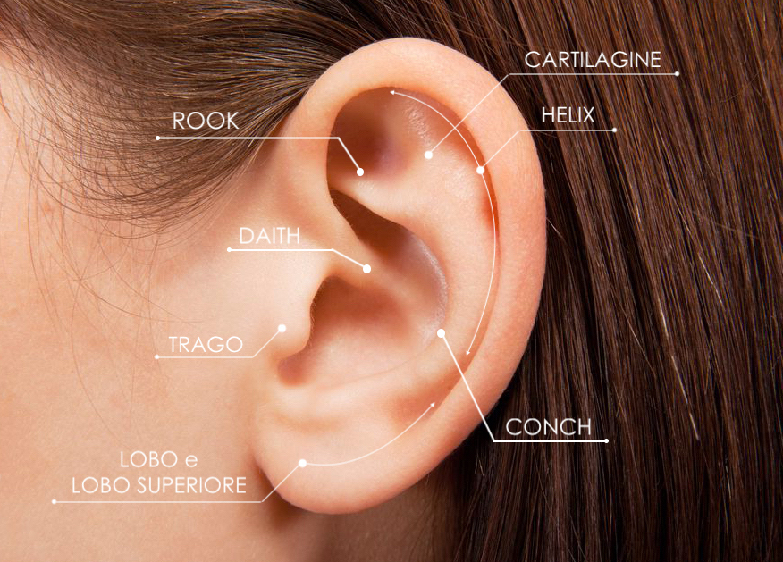 Helix - Trago - Daith