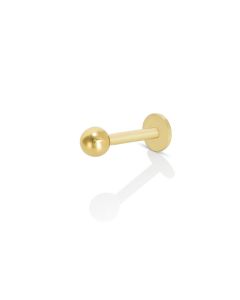 piercing trago/cartilagine/ lobo pallina