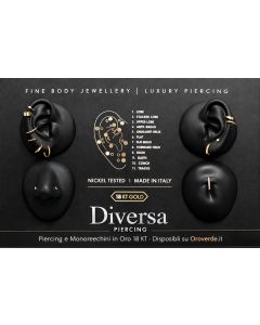 Espositore Vetrina Piercing e Monorecchini pz.19
